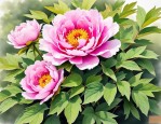 2025年牡丹花几点开花的