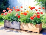 北方花箱适合栽植什么