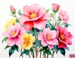 什么花既好看又好养活