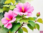 2025年木芙蓉又叫什么花
