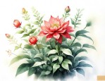 植物的开花时间