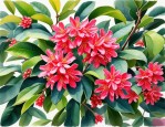 2025年山竹树开花的样子