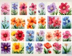 一共有多少种花的名字