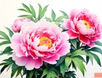 牡丹花的介绍以及特点