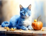 蓝猫一个月花费多少钱