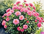 2025年10月开花的灌木