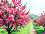 那年的山楂树剧情介绍