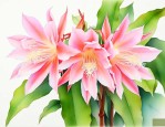 昙花怎么养才能更旺盛