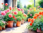 花卉植物室外花好养活
