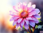 什么花在晚上七点开放