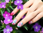 指甲草花根能染指甲吗