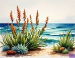 2025年大海里有哪些植物