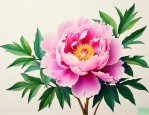 牡丹花是长什么样子的