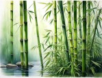 有一种植物叫什么什么竹