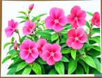 种凤仙花作文400字