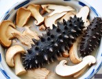 海参和松茸能一起炖吗