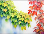 爬山虎告诉我们什么道理