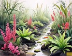 2025年江苏水生植物种类