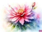 开花时间长的花有哪些