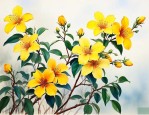 黄花梨木是不是黄花梨