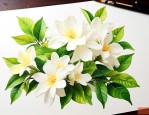 栀子花黄叶有几种原因