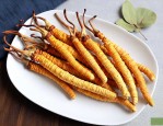 虫草花的食用方法与效果