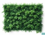 植物绿植墙多少钱