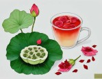 2025年冬瓜荷叶玫瑰花茶