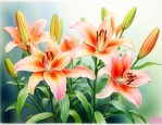 百合花茹志鹃人物形象