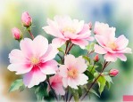 花开放的时间一天之内
