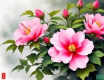 2025年芙蓉花烟什么价位