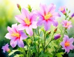 风铃草的花语是什么意思