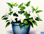 网购回来的茉莉花怎么养