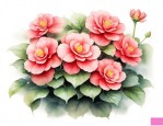 四季海棠花好养吗