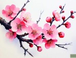 梅花的花是什么颜色的