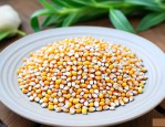 太阳花玉米种子多少钱