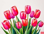 2025年郁金香能开花几次