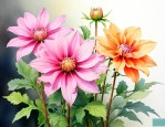 送长辈的花选什么花好