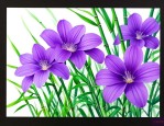 紫色像竹子的花是什么