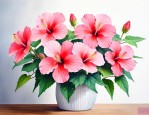 芙蓉花适合在室内养吗