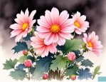 2025年哪些花的花语好听