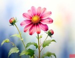 关于花的早上好的句子