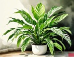 2025年哪种植物可以美白