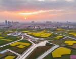 2025年阜阳到插花有多远