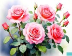 四季开花的月季花品种