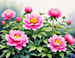 2025年关于芍药花的诗词