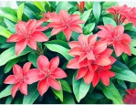 龙船花为什么叫龙船花