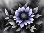 2025年黑颜色的花有哪些