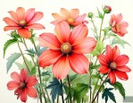 junglee什么花