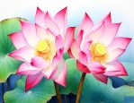 并蒂莲象征着什么意义